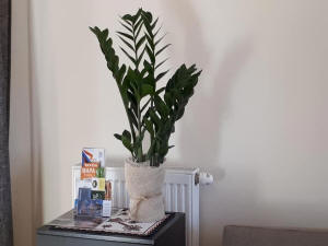 Apartamentos TATRA CHATA en Zakopane Tatra Mountains, descanso en Polonia 06